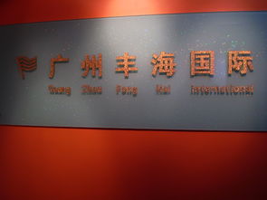 廣州市豐海貿(mào)易公司 開啟高效便捷的網(wǎng)上貿(mào)易代理服務(wù)