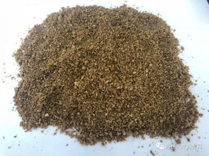 魚價低迷期如何降低餌料成本？養殖戶必看的實用策略